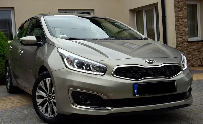 Kia Ceed cena 53900 przebieg: 45000, rok produkcji 2016 z Kielce małe 254